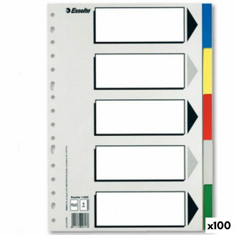 Distanzstücke Esselte Bunt Din A4 5 Blatt (100 Stück)