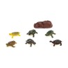 tiere Tortoise Satz 20 x 19 cm