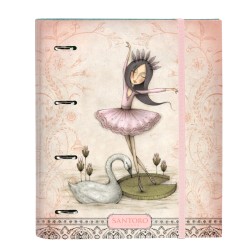 Ringbuch Santoro Swan lake... (MPN S4308745)