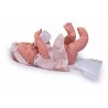 Baby-Puppe Antonio Juan MIa 42 cm