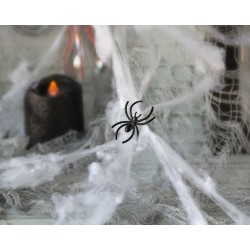 Spinnennetz Weiß 15 x 10 cm